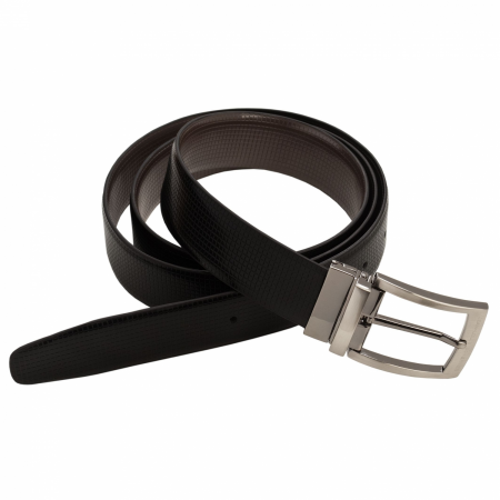 Belt Reversible